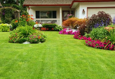 Front Yard Design