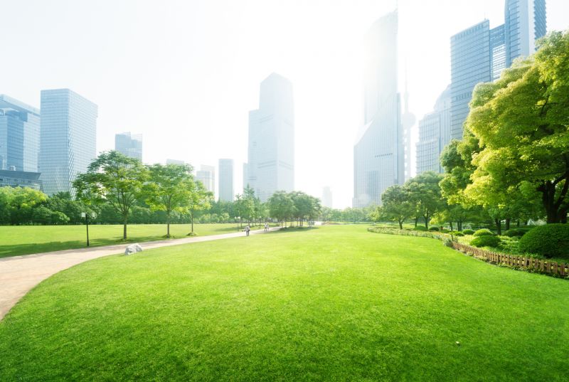 Commercial Landscaping in Ventura County, CA