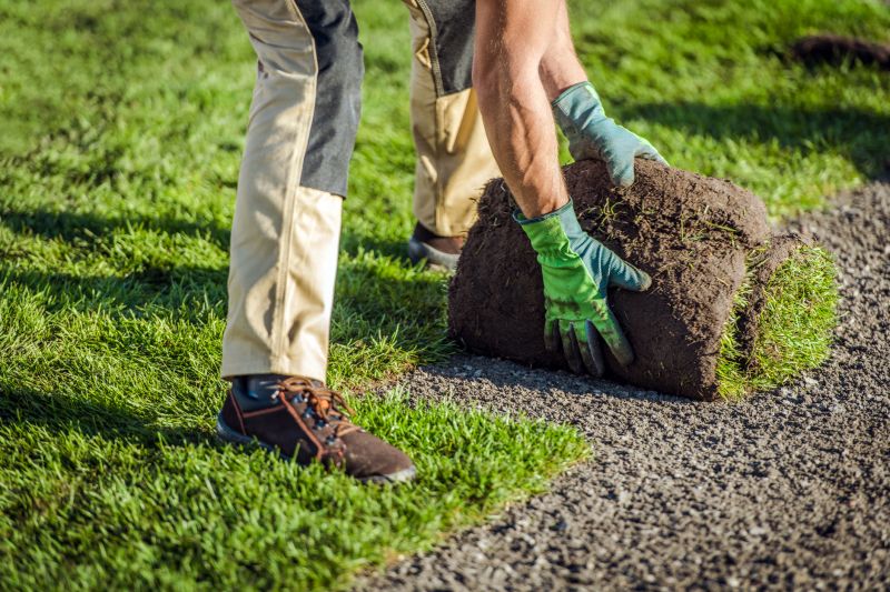 Landscaping Installation in Honolulu, HI