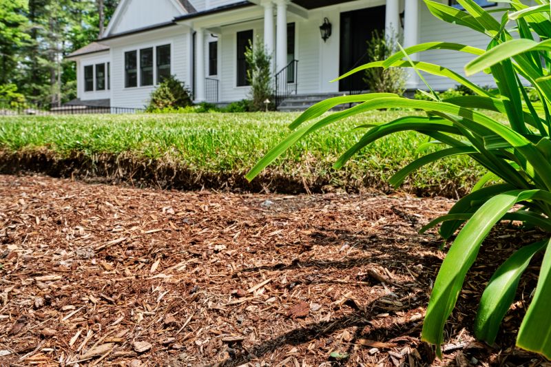 Organic Mulch Installation in Honolulu, HI