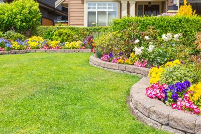 Add Flowers and Shrubs to Your Landscape!