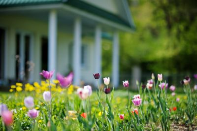 Increase the Curb Appeal of the Home!